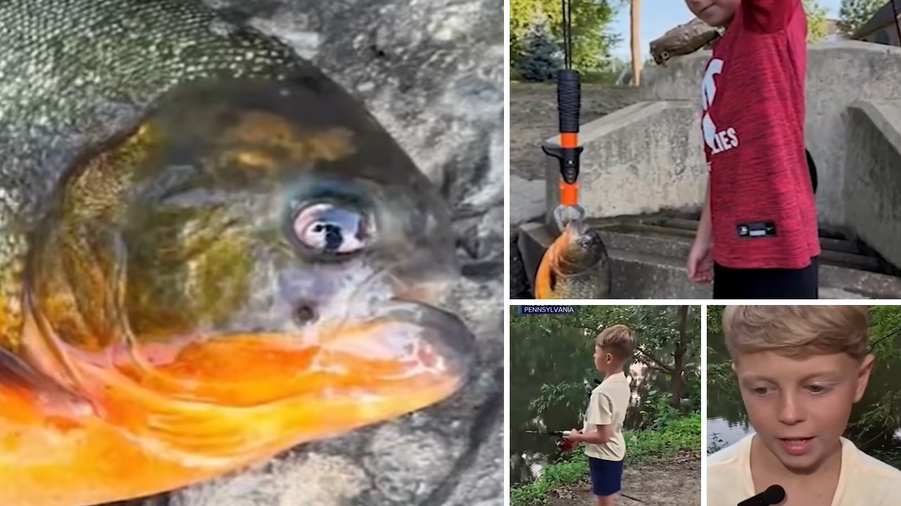 "Tata, šta je ovo?" Dečak (8) izvukao piranu iz jezera