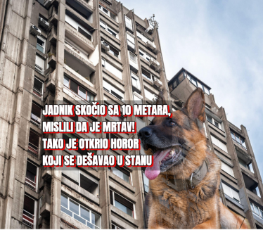 Пас скочио са 3. спрата, а онда су нашли хорор у стану