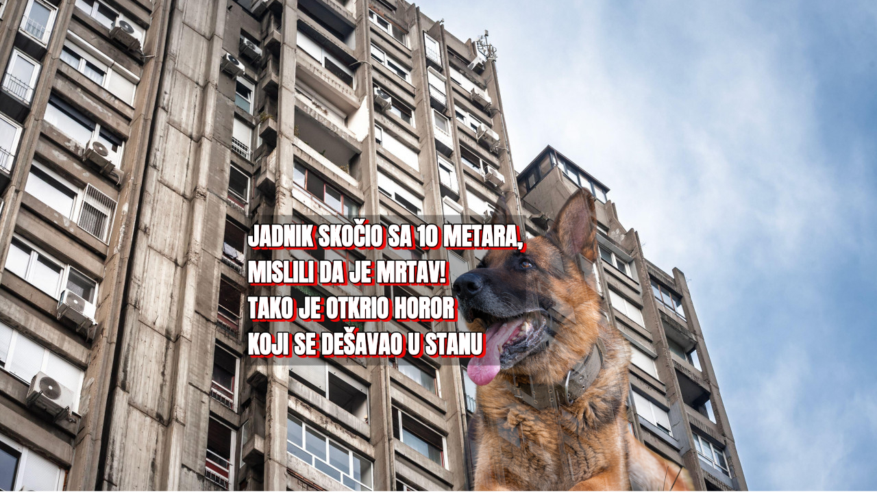 Пас скочио са 3. спрата, а онда су нашли хорор у стану
