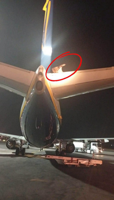 Zbog njega haos na aerodromu, stopirao poletanje aviona (FOTO)