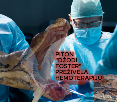 Zmija DŽodi Foster pobedila rak: Lečili je kao čoveka