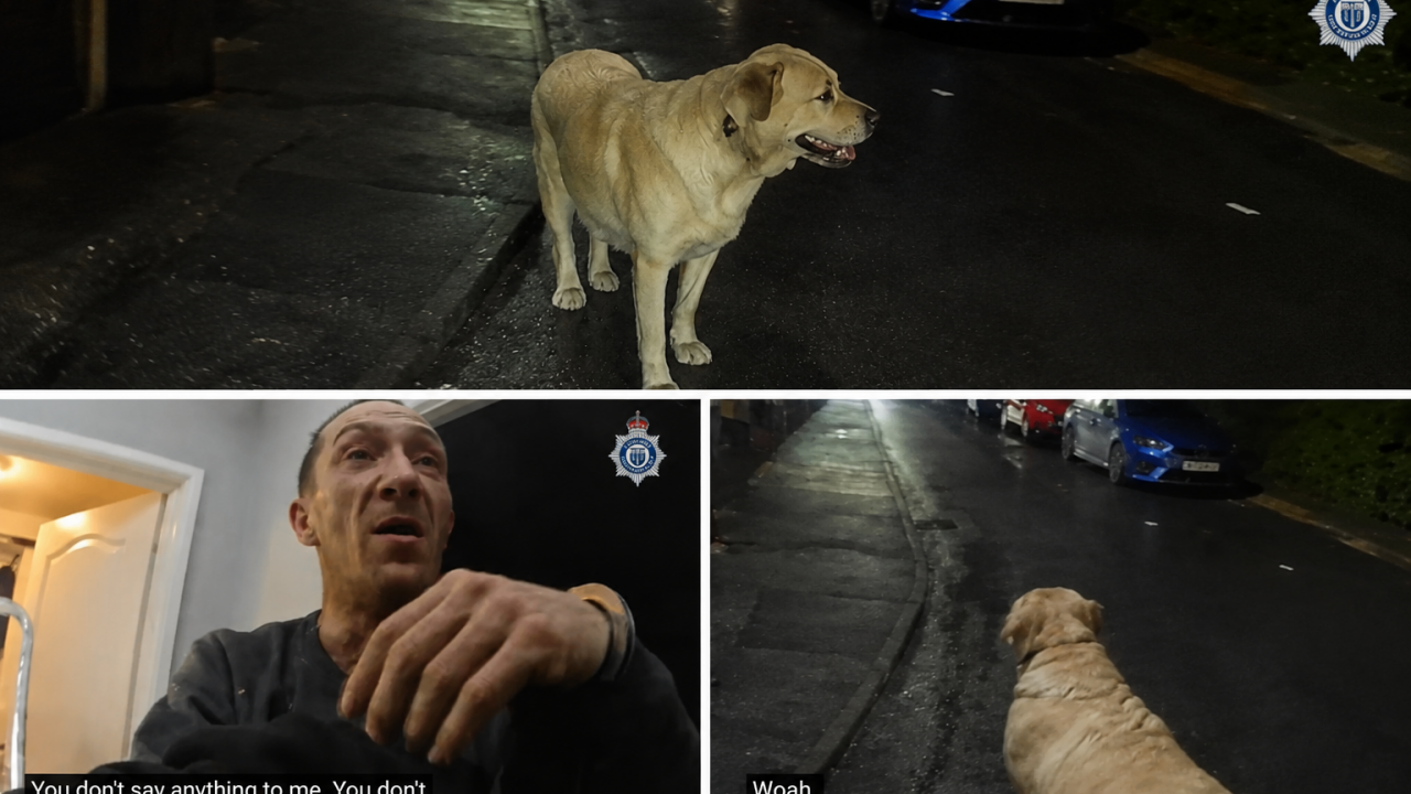 Završio u zatvoru zbog el. trotineta: Odao ga pas (VIDEO)