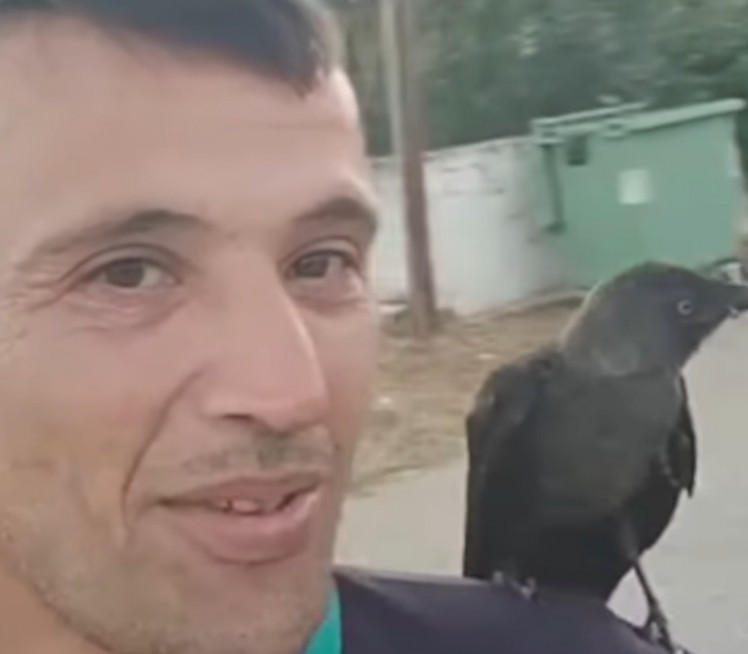 Vatrogasac spasao čavku, vratila mu na čudesan način (video)