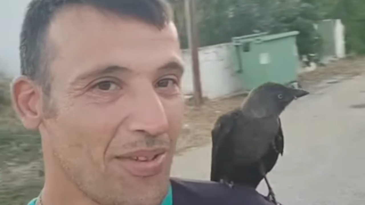Ватрогасац спасао чавку, вратила му на чудесан начин (видео)