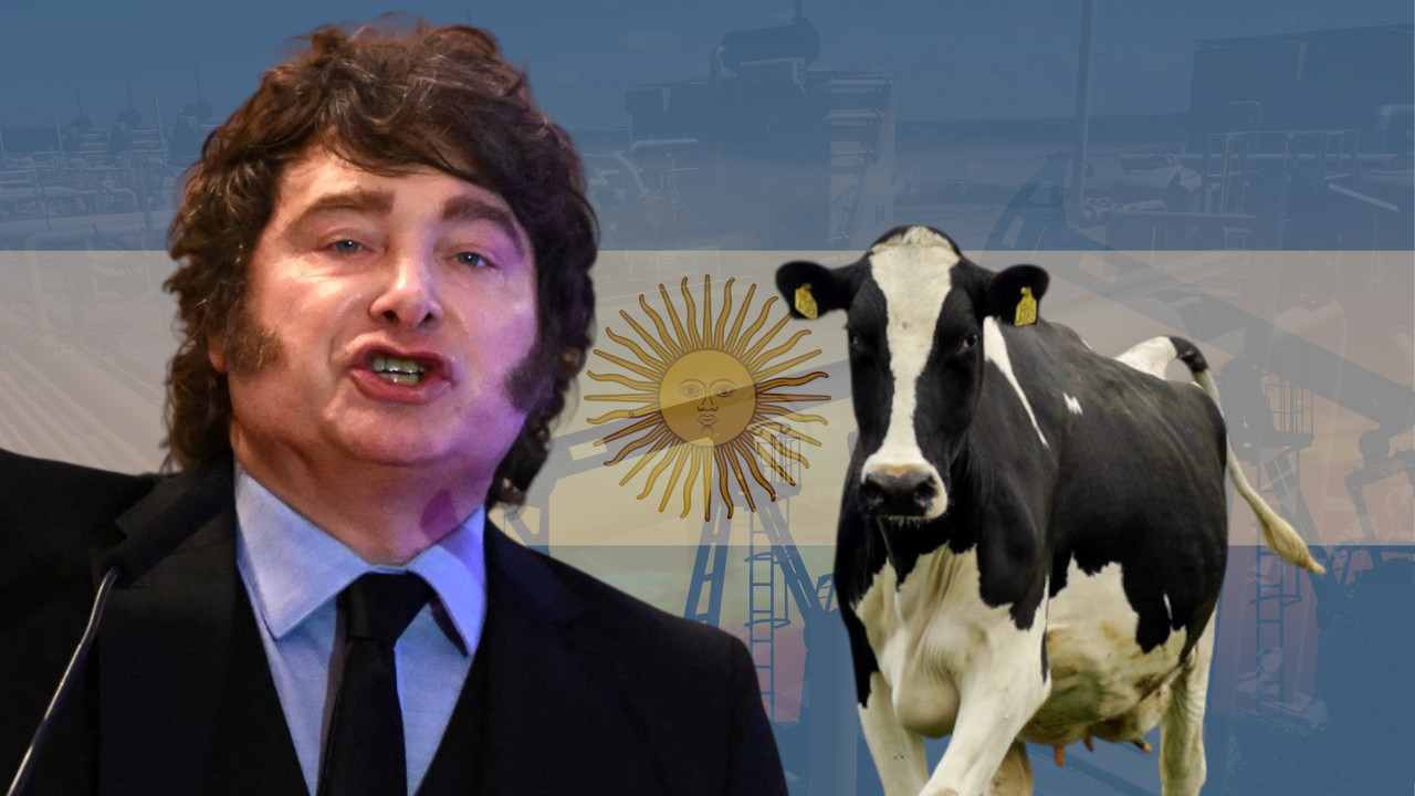 Buđenje Mrtve krave: Može li crno zlato da spase Argentinu?