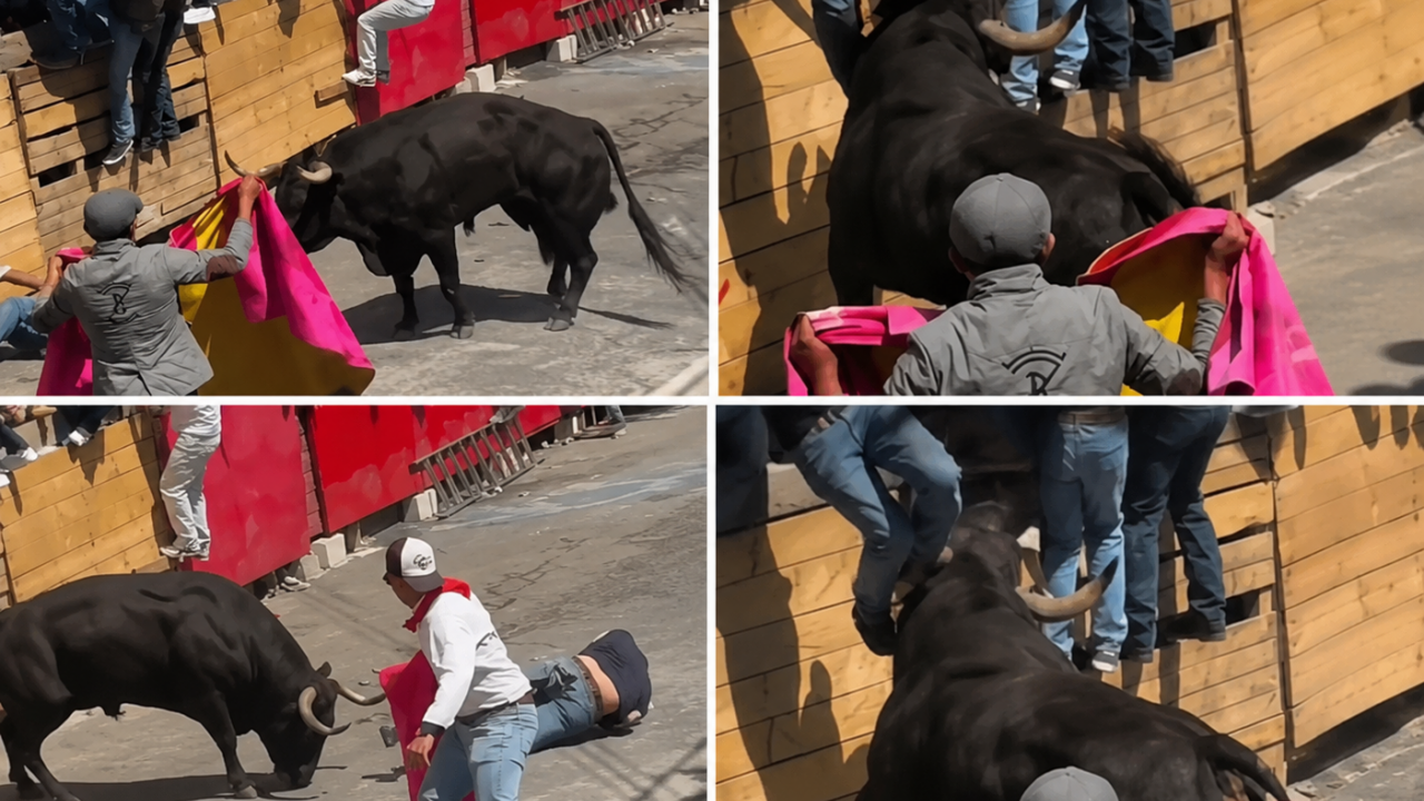 UZNEMIRUJUĆI VIDEO Pustili 21 bika među ljude, dvoje mrtvih