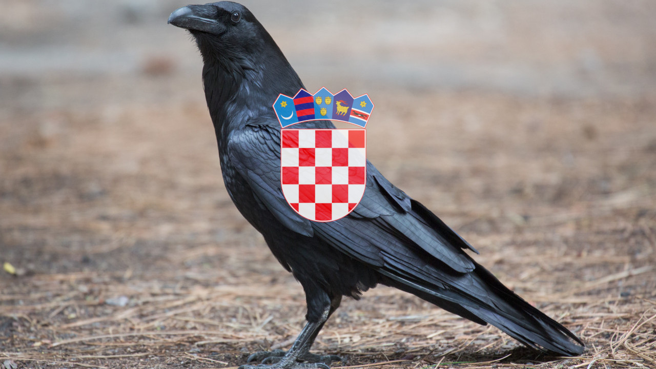 Uzbuna u Zagrebu: Mrtve vrane potvrdile virus Zapadnog Nila