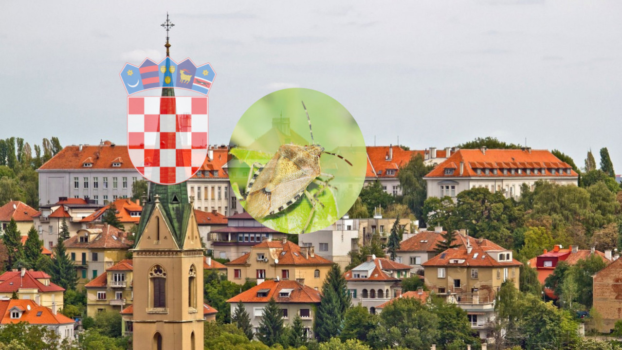 Pošast u Zagrebu: "Ne smem uveče ni smeće da iznesem"