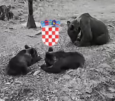 Снимили мечиће у ХР, а онда се медведица залетела (видео)