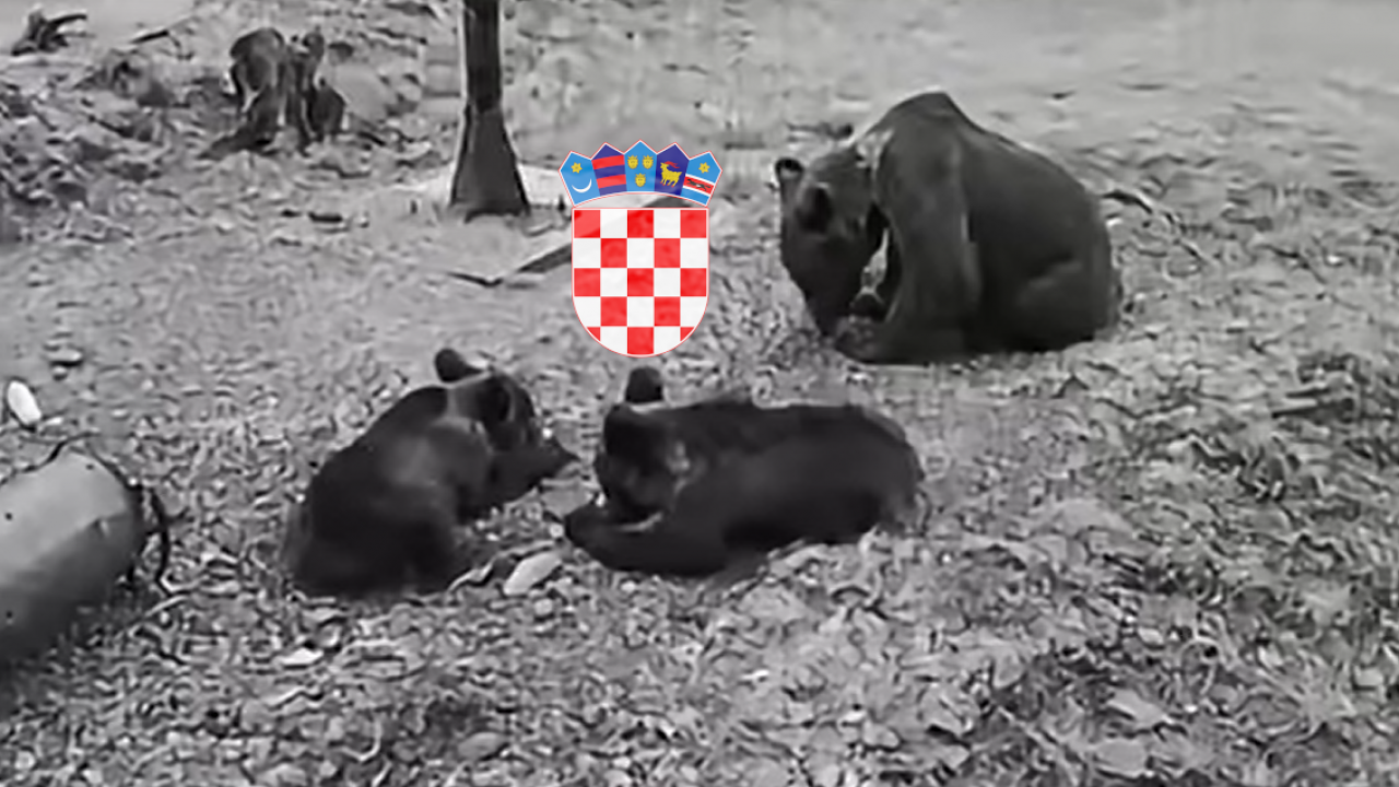 Snimili mečiće u HR, a onda se medvedica zaletela (video)