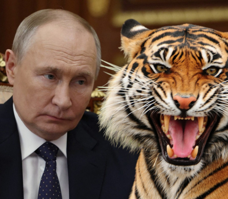 ПУТИН ОЧИ У ОЧИ СА ТИГРОМ! Звер није хтела да се склони