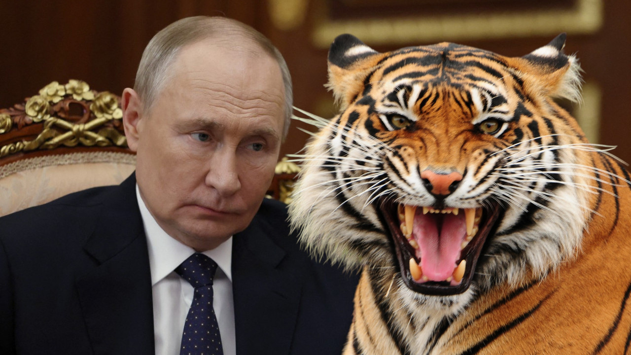 ПУТИН ОЧИ У ОЧИ СА ТИГРОМ! Звер није хтела да се склони
