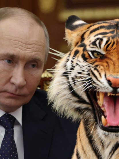 ПУТИН ОЧИ У ОЧИ СА ТИГРОМ! Звер није хтела да се склони