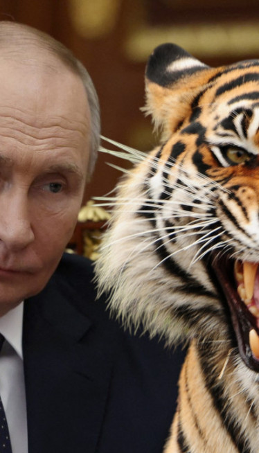 PUTIN OČI U OČI SA TIGROM! Zver nije htela da se skloni