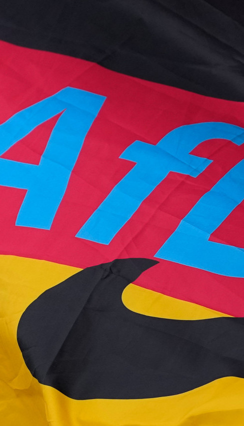 Nemci su strahovali od ovoga: AfD počistio konkurenciju!