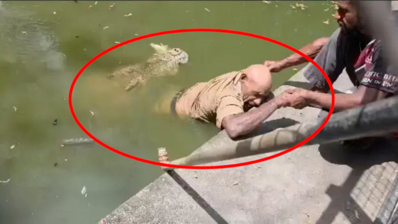 UZNEMIRUJUĆI VIDEO: Krokodil zgrabio čuvara za noge