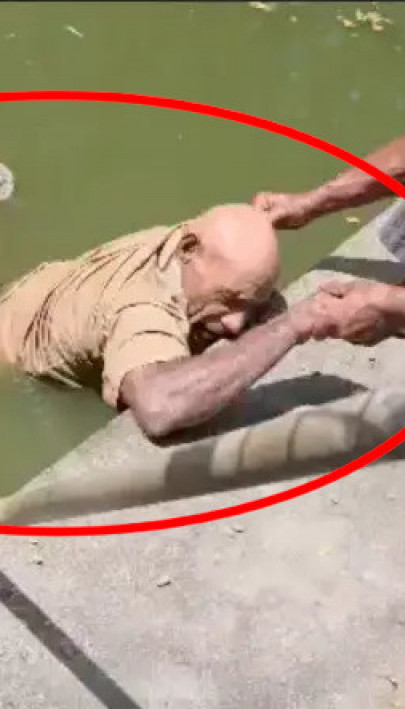 UZNEMIRUJUĆI VIDEO: Krokodil zgrabio čuvara za noge
