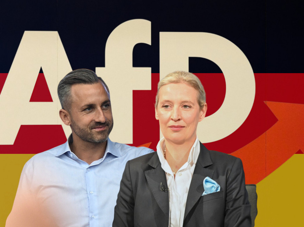 Bivši agent Štazija, sektaš i porno zvezda: Ovo je lista AfD