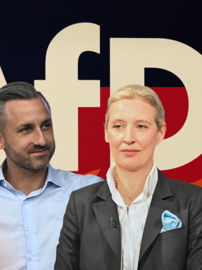 Bivši agent Štazija, sektaš i porno zvezda: Ovo je lista AfD