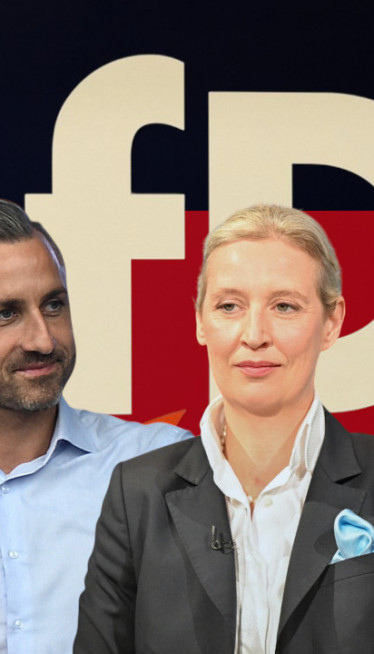 Bivši agent Štazija, sektaš i porno zvezda: Ovo je lista AfD