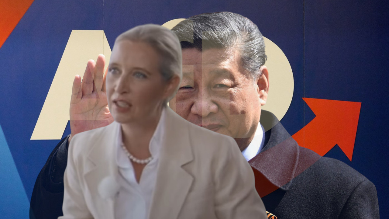 Šta AfD zapravo želi od Kine? Vajdel ima jasan plan