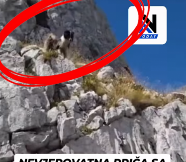 Pas na Durmitoru gađa planinare kamenjem (video)