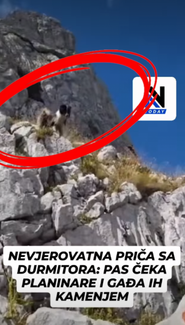 Pas na Durmitoru gađa planinare kamenjem (video)