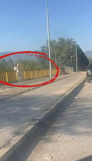 Stala nasred mosta, izašla iz "poršea" i bacila đubre