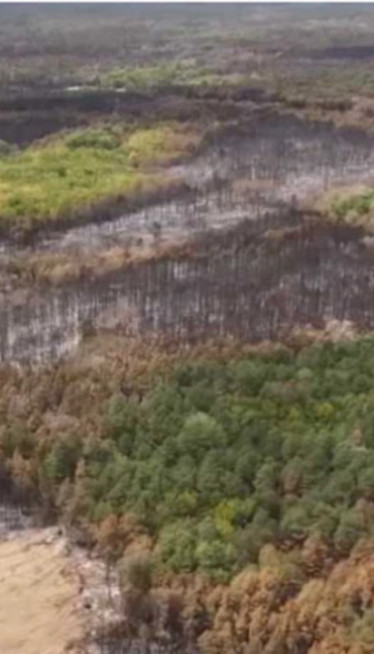 Fotka sa zgarišta Deliblatske peščare o kojoj priča Srbija