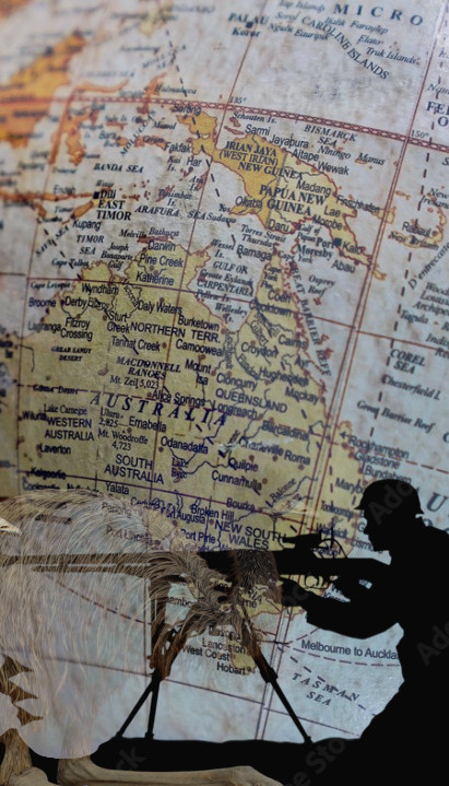 Kako je australijska vojska izgubila rat protiv ptica?