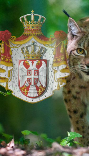 "Duh šume" snimljen na Goliji: Kamera uhvatila redak prizor