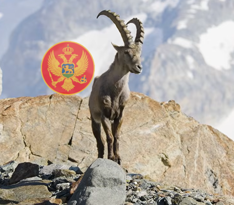 Zaštitili izumrlu životinju u CG, a zaboravili sve ptice
