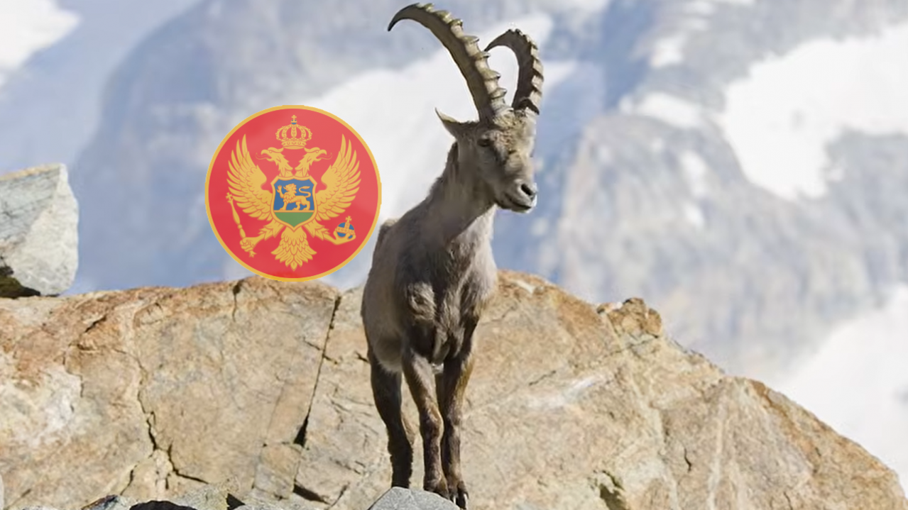 Zaštitili izumrlu životinju u CG, a zaboravili sve ptice