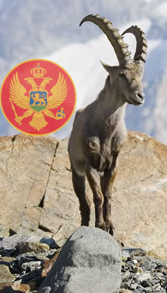 Zaštitili izumrlu životinju u CG, a zaboravili sve ptice