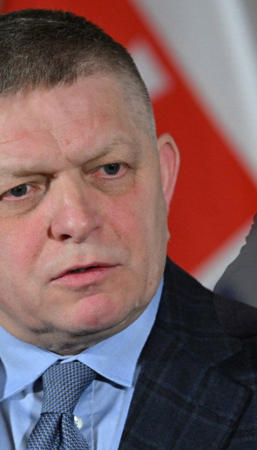 Fico traži uklanjanje golog Trampa iz EU parlamenta