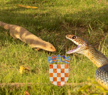 Hrvati pustili invazivnu vrstu zbog zmija, sad se premnožili