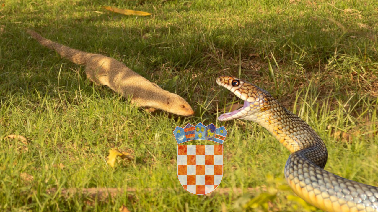 Hrvati pustili invazivnu vrstu zbog zmija, sad se premnožili