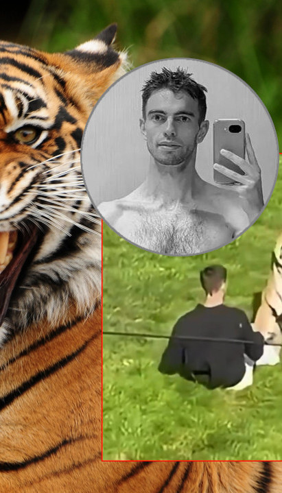 Kako je uopšte dospeo kod tigra? Novi detalji o smrti mladića