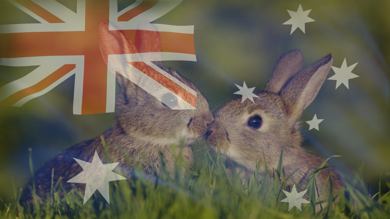 Zbog 13 životinja Australija ispašta već 160 godina (video)
