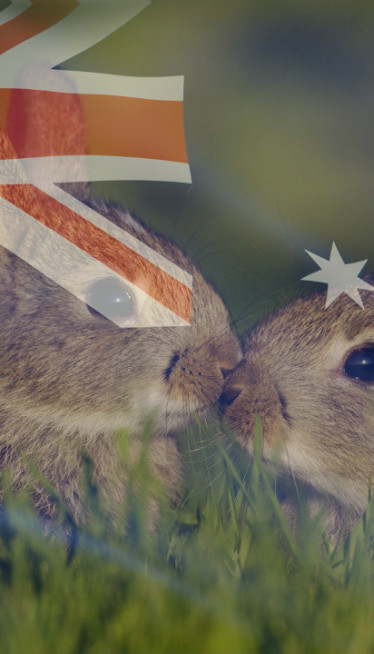 Zbog 13 životinja Australija ispašta već 160 godina (video)