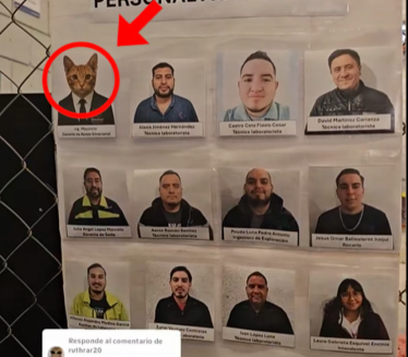Ovaj menadžer spava na poslu: I svi ga obožavaju (video)