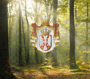 U Srbiji postoji prašuma u kojoj 350 god. nije posečeno drvo