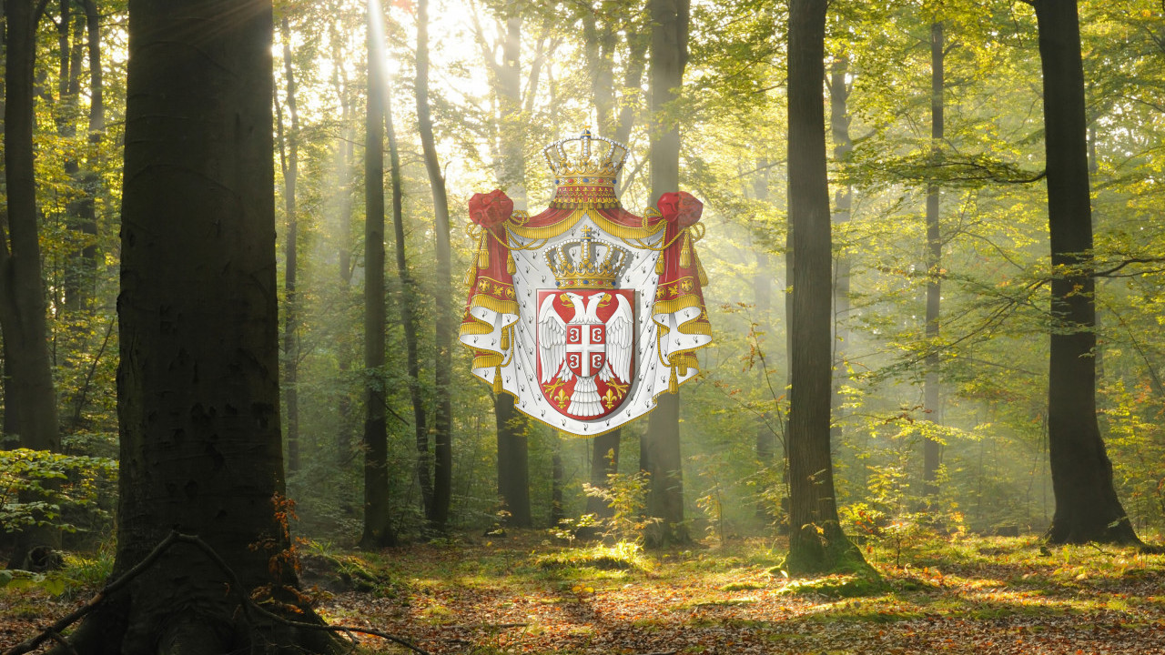 U Srbiji postoji prašuma u kojoj 350 god. nije posečeno drvo
