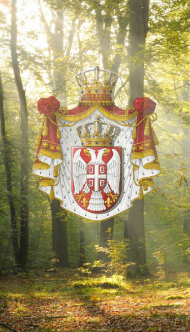 U Srbiji postoji prašuma u kojoj 350 god. nije posečeno drvo