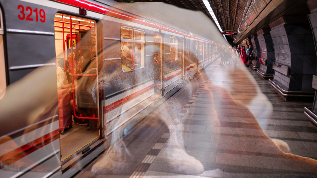 Miš sa picom ušao u metro: Ali nije sve kako izgleda